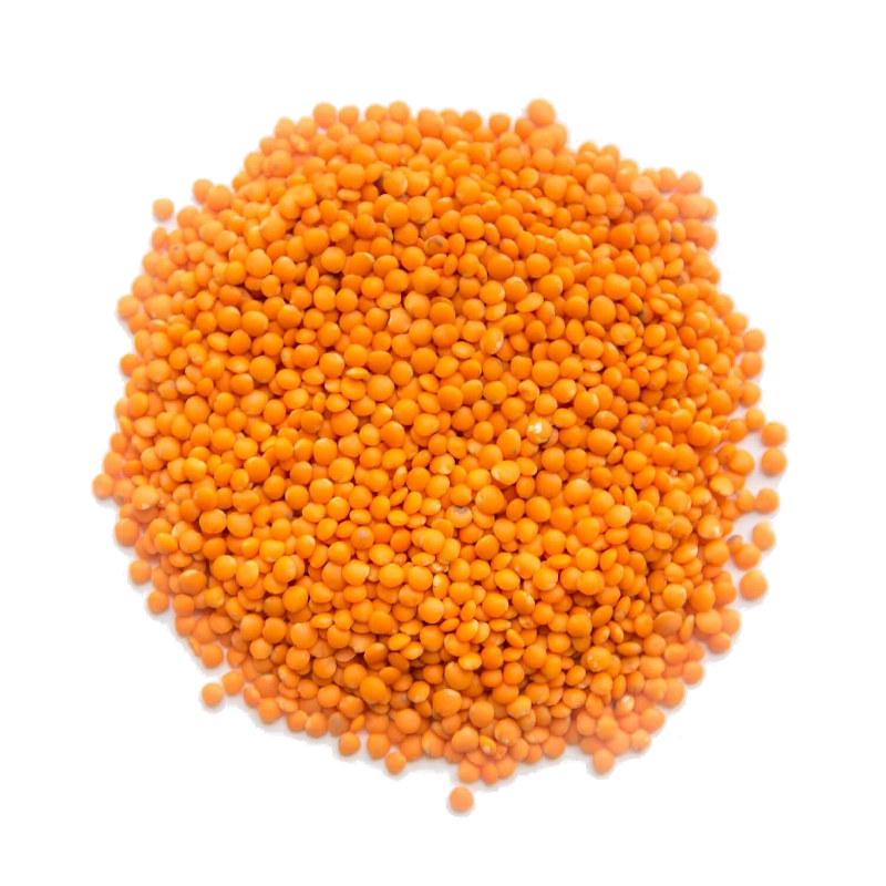 Сочевиця вагова